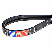 Ремінь 2HB 3150 Rubena багаторівчакової | 2НВ3150 клиновий