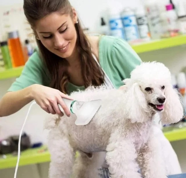 Пылесос-расчёска для Шерсти Home Fest Pet Grooming Dryer WN-10, Машинка ...