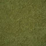 Меблева тканина Фінт - PISTACHO, фото 2