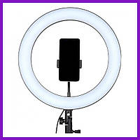 Кільцева лампа без штатива лампа для тік току селфі лампа з тримачем кільцеве світло 36 см AC Prof