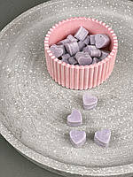 Набір ароматичних міні-саше (30шт) з соєвого воску в гіпсовому кашпо ручної роботи