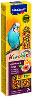 Лакомство для волнистых попугаев Vitakraft Kracker Original + Apricot & Fig 2 шт 60 г (абрикос и рис)