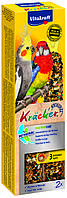 Лакомство для средних попугаев Vitakraft Kracker Original Feather Care 2 шт 180 г (во время линьки)