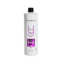 Шампунь Iv San Bernard DERM SHAMPOO Y6Y 1 л