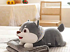 Іграшка подушка плюшева собачка Хаскі-2 з пледом всередині, 3 кольори, довжина 50 см, фото 4