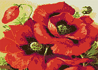 Алмазна вишивка "Маки" польові квіти ромашка Букет сад повна викладка зашивка мозаїка 5d набори 30х40