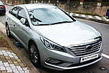 Дефлектор бампера хромований, мухобойка Hyundai Sonata LF 2014-2016 (Autoclover D972), фото 4