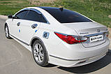 Хром молдинг двері Hyundai Sonata YF 2009-2014 (Auto clover B669), фото 6