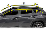 Дефлектори вікон (вітровики) Hyundai Tucson NX4 Long 2021- (Autoclover E242), фото 5