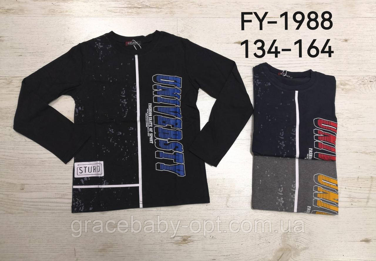 Реглан для хлопчиків оптом, Goloxy, 134-164 см, № FY-1988
