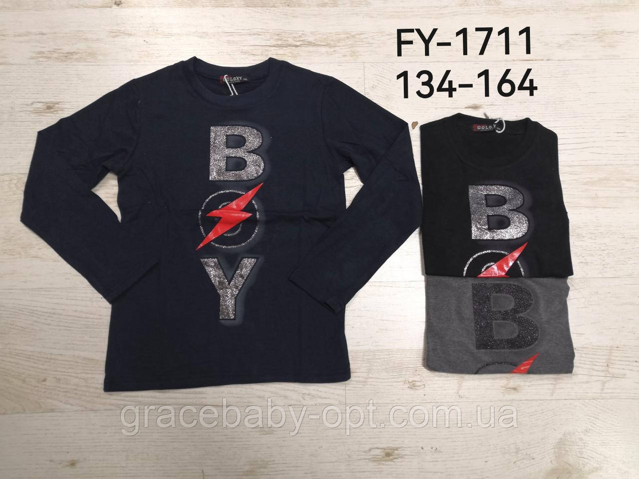 Реглан для хлопчиків оптом, Goloxy, 134-164 см, № FY-1711