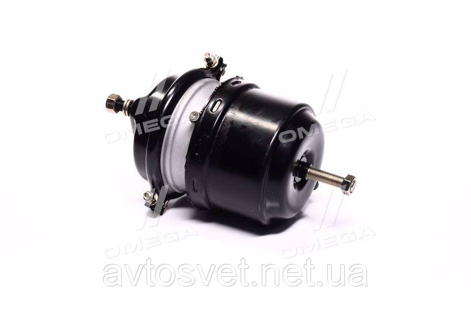 Енергоакумулятор Тип 24/24 D/P (M22x1.5 диск.) PREMIUM (RIDER) RD 31.12.37PR (Kr)