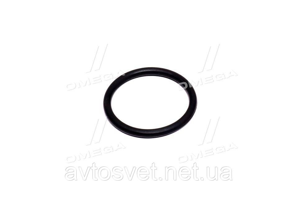 Уплотнительное кольцо радиатора 38 x 4 mm (пр-во Van Wezel) 99002838 - фото 1 - id-p1557700180
