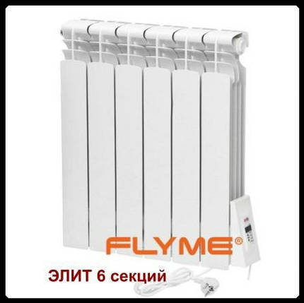 Електрорадіатор Flyme Elite/6 секцій/650 Ватів/праве під'єднання/, фото 2