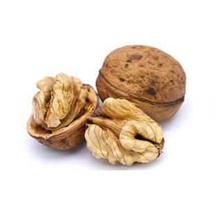 Саджанці Волоського горіха Франкетте (FRANQUETTE) (1-річний) - середнього терміну, урожайний, морозостійкий