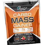 Високовуглеводний гейнер для набору ваги Powerful Progress Carbo Mass Gainer 4000 г, фото 2