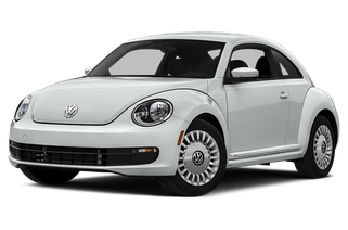 Beetle 2011-