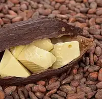 Какао-масло Callebaut монолит
