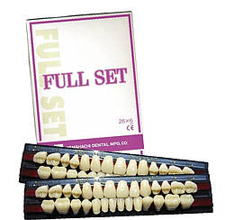 Набір зубів NEW ACE повний 28 зубів
