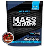 Високовуглеводний гейнер для набору ваги Willmax Mass Gainer 2000 г, фото 2