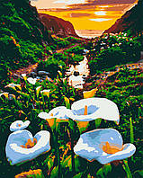 Набор для росписи, картина по номерам, "Восход солнца", 40х50см, ТМ "RIVIERA BLANCA"