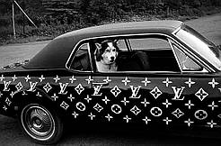 Преміум наклейка на авто "Louis Vuitton" LV Комплект 2шт (смуги 30см х +95см) (260фигур) Луї Вітон