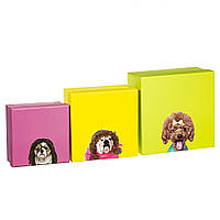 Набор ярких подарочных коробок "Собачки" 3шт. (плотный картон)