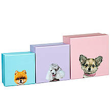 Набір яскравих подарункових коробок "Смішні собачки" 3шт. (щільний картон)