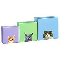 Набор ярких подарочных коробок "Смешные котики" 3шт. (плотный картон)