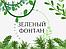 Зелений фонтан. Інтернет магазин декоративних рослин.