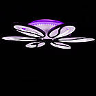 Світлодіодна люстра кавові зерна 105 Вт з підсвічуванням основи колір каркасу чорний D-9101/6 BK LED 3color dimmer, фото 9