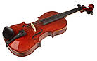 Скрипка STENTOR 1550/A CONSERVATOIRE VIOLIN OUTFIT 4/4, фото 3
