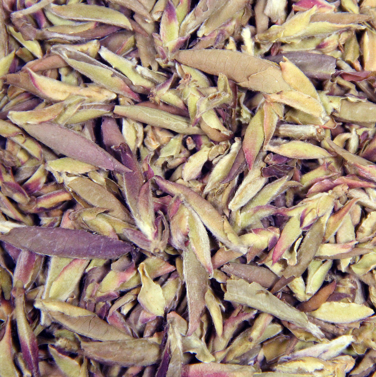 Чай ТМ "Османтус" Пуер "Пурпурова брунька старого дерева" (Цзи Я Бао) 250 гр