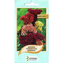 Целозія гребінчаста (0,1 г), суміш, від Legutko, Польща. Насіння