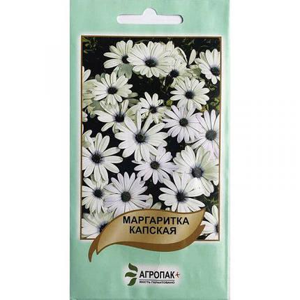 Маргаритка капська (20 насінин) від Legutko, Польща. Насіння, фото 1