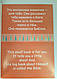 Книга "О чём они говорят? What do they say?" Лора Рут Эвенсен (рус.), фото 3
