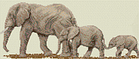 Алмазная вышивка "Семья слонов " радужный лето солнце панно полная выкладка мозаика 5d наборы 53x26 см
