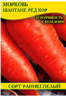 Насіння моркви Шантане Ред Кор, 1кг