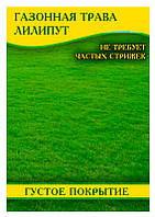 Семена газонной травы Лилипут, 100 г