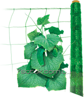 Сітка шпалерна огіркова, ширина 1,7м, довжина 5м