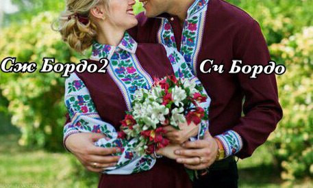 Заготівля на жіночу вишиванку СЖ БОРДО 2, фото 1