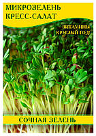 Насіння салату Кресс-Салат, мікрозелень, 0,5 кг