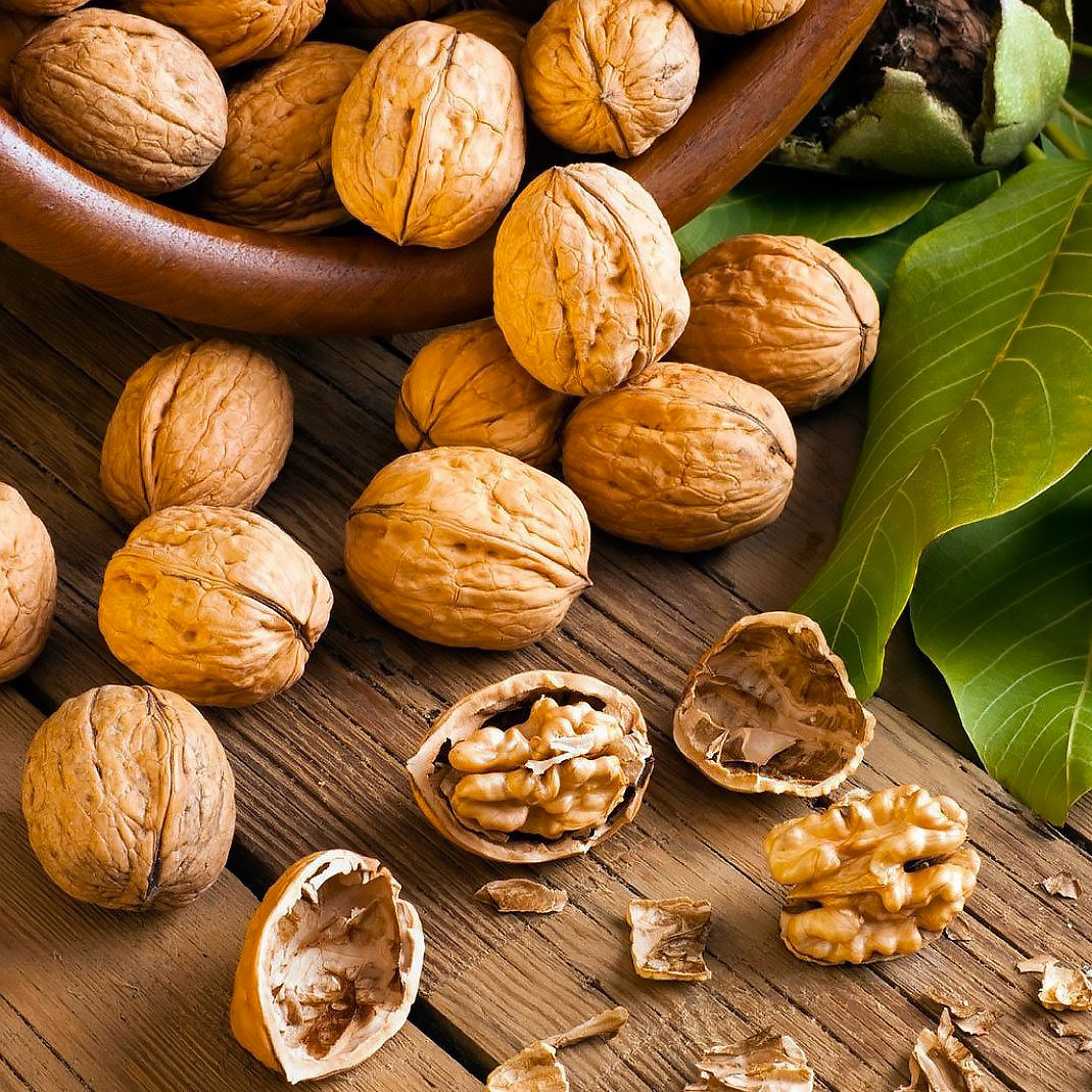 Саджанці Грецького горіха Туларе (Tulare) (3 річний) - ранній, великоплідний, врожайний, фото 1