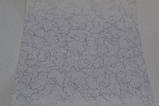 Шпалери Континент паперові дуплекс Ландшафт сірий 052, фото 6
