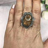 Лабрадор кільце з натуральним лабрадором в сріблі кільце з лабрадором кільце лабрадор 17,7 розмір, фото 3