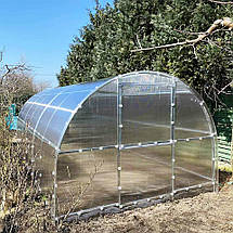 Теплиця «Полуниця» 3*8 полікарбонат 4 мм, фото 4