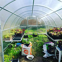 Теплиця «Полуниця» 3*8 полікарбонат 4 мм, фото 2