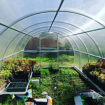 Теплиця «Полуниця» 3*8 полікарбонат 4 мм, фото 5