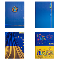 Книга обліку 96 аркушів, тверда обкладинка, ламінована, офсет, клітинка. BuroMax