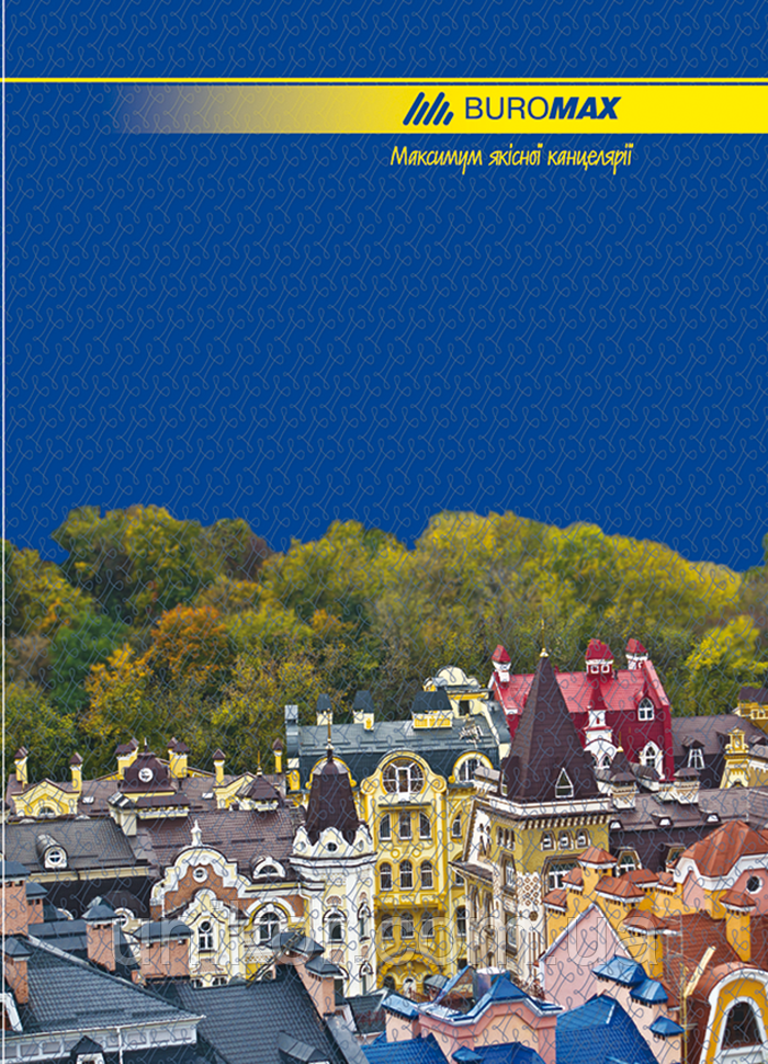 Книга обліку 96 аркушів, тверда обкладинка, ламінована, офсет, лінія. BuroMax